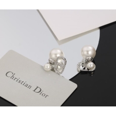 Christian Dior Earrings